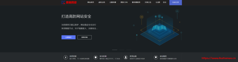 景林网络：官方资源,不超开,不限流量,kvm虚拟云技术香港CN2节点便宜20元一月,内有美国高防CN2回程防御200G