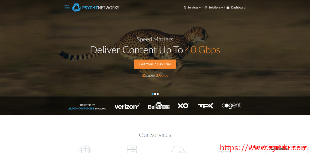 【黑五】Psychz：$29/月/E3-1230v2/16GB 内存/1TB 硬盘/不限流量/1Gbps-10Gbps 带宽/DDOS/洛杉矶