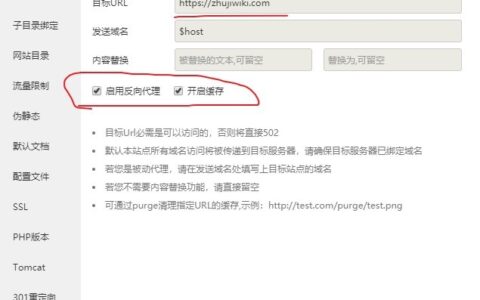 宝塔面板使用Nginx进行反代，提升网站访问速度和增强防护