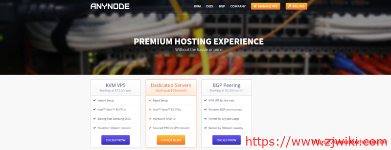 anyNode：$15/年/2GB内存/30GB SSD空间/3TB流量/1Gbps端口/KVM/拉斯维加斯，免费DirectAdmin