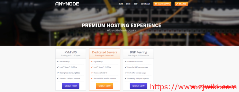 anynode：新年促销，拉斯维加斯VPS，$15/年，2G内存/1核/30gSSD/3T流量