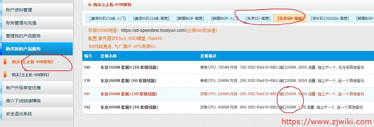 HostYun：52元/月/2核/2GB内存/30GB SSD空间/1TB流量/500Mbps端口/KVM/日本IIJ/日本软银