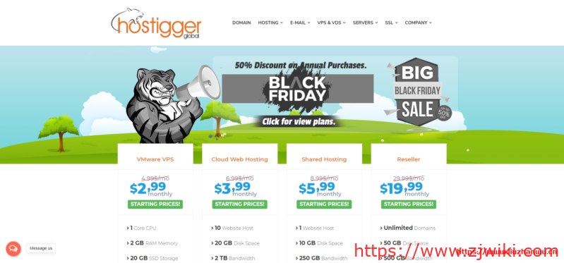 hostigger：土耳其 VPS，不限流量，支持 windows，低至$20/年，2G 内存/1 核/20gSSD