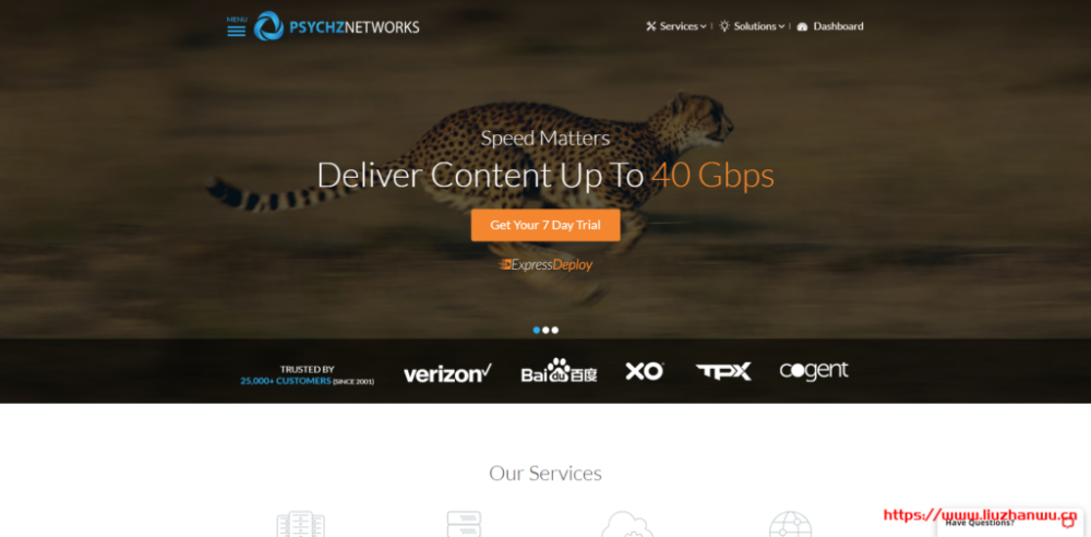 Psychz：$5/月/D525/4GB 内存/500GB 硬盘/30TB 流量/100Mbps 带宽/DDOS/洛杉矶/台湾/日本/新加坡等