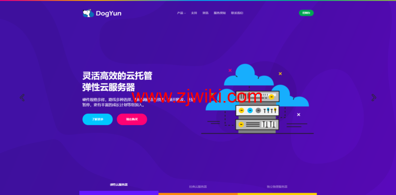 DogYun：双 11 优惠，新开独立服务器，每月优惠 100 元，充值 110 送 10 元