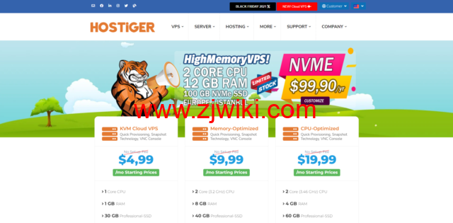 hostiger：土耳其便宜VPS，2核/12G内存/100G Nvme SSD/300M带宽/1T流量，,90/年