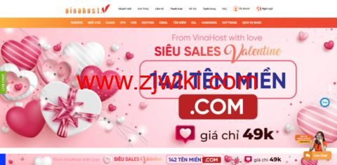 VinaHost：便宜越南VPS，免费的DirectAdmin，越南抗投诉VPS八折，4.6美元/月起