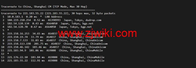 raksmart：日本云服务器，精品网络，流媒体等简单测评