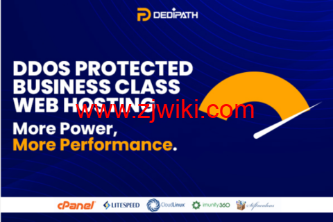DediPath：DDOS高防企业级虚拟主机，.99/月起