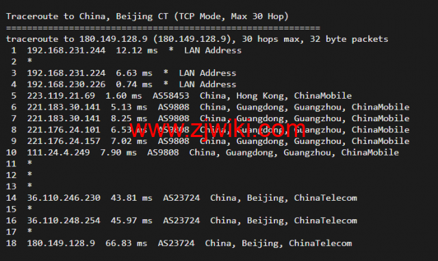10gbiz：香港VPS云服务器（GIA+VIP）线路，简单测评