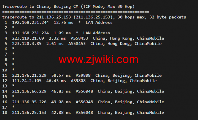10gbiz：香港VPS云服务器（GIA+VIP）线路，简单测评