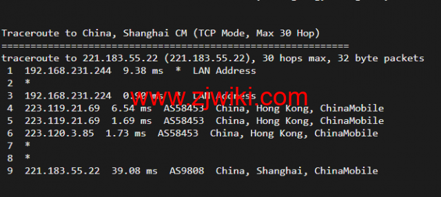 10gbiz：香港VPS云服务器（GIA+VIP）线路，简单测评