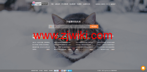 SugarHosts：香港VPS，原生IP，1核/1G内存/20GB硬盘/不限流量，44.55元/月起，可选windows vps