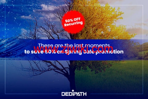DediPath：春季促销活动，全场 VPS/HybridServers 主机 5 折，月付 1.75 美元起