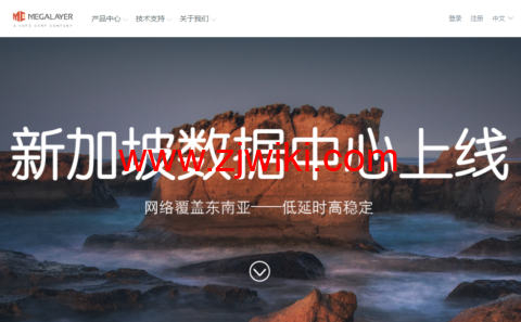 Megalayer：新加坡vps，原生IP，1核/1G内存/50GB硬盘/不限流量，年付249元起，新加坡/香港/菲律宾/美国VPS年付199元起，特价独立服务器399元/月起