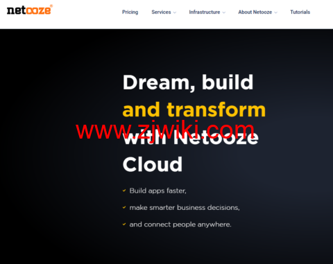 #按时计费#netooze：1核/1G内存/25G硬盘/10-500Mbps带宽/不限流量，.95/月起，可选哈萨克斯坦/白俄罗斯/荷兰/美国/俄罗斯机房
