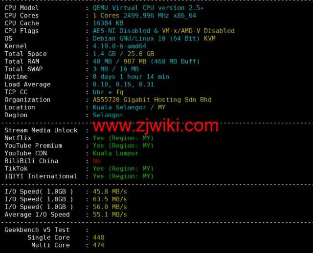 VPS Malaysia：马来西亚VPS，三网直连，1核/1G内存/25G SSD/2TB流量/100Mbps带宽，/月起，原生ip，解锁netflix、tiktok，简单测评