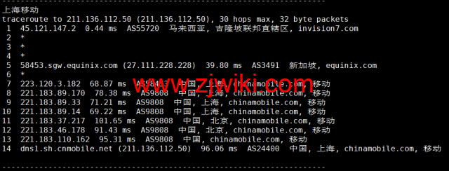 VPS Malaysia：马来西亚VPS，三网直连，1核/1G内存/25G SSD/2TB流量/100Mbps带宽，/月起，原生ip，解锁netflix、tiktok，简单测评