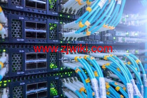 RackNerd：美国 10Gbps, 20Gbps 和 40Gbps 不限流量独立服务器，$509.15/月起，可选洛杉矶/纽约/伦敦/蒙特利尔机房