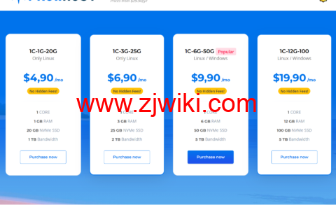 ProwHost：美国堪萨斯机房，便宜年付VPS，1核/512MB内存/10G NVMe/500 GB流量1Gbps带宽，$15/年起