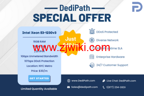 DediPath：限时优惠，特价独服，E3-1230v3/16G内存/120GB SSD或2TB HDD/1Gbps带宽不限流量，/月