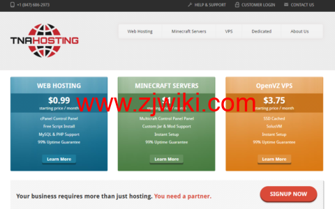 TNAHosting：美国VPS优惠，500GB大硬盘存储vps，年付50美元起，2G KVM VPS 年付15美元起